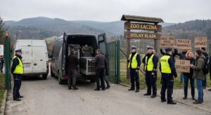 Szturm służb na Dolnym Śląsku, zatrzymania i wywóz do Holandii. Co kryje się za akcją w ZOO Łączna?